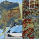 Map showing the probability of ecological change across Alaska. Inset shows historic wildfires mapped according to Bureau of Land Management data and Landsat data in the Alaskan interior